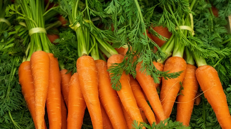 what are the benefits of eating carrots